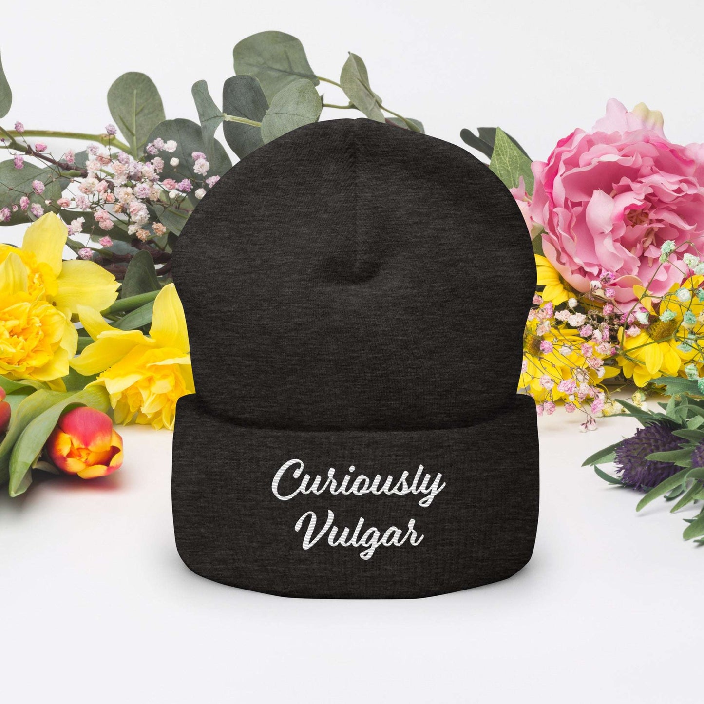 CV Beanie Curiously Vulgar