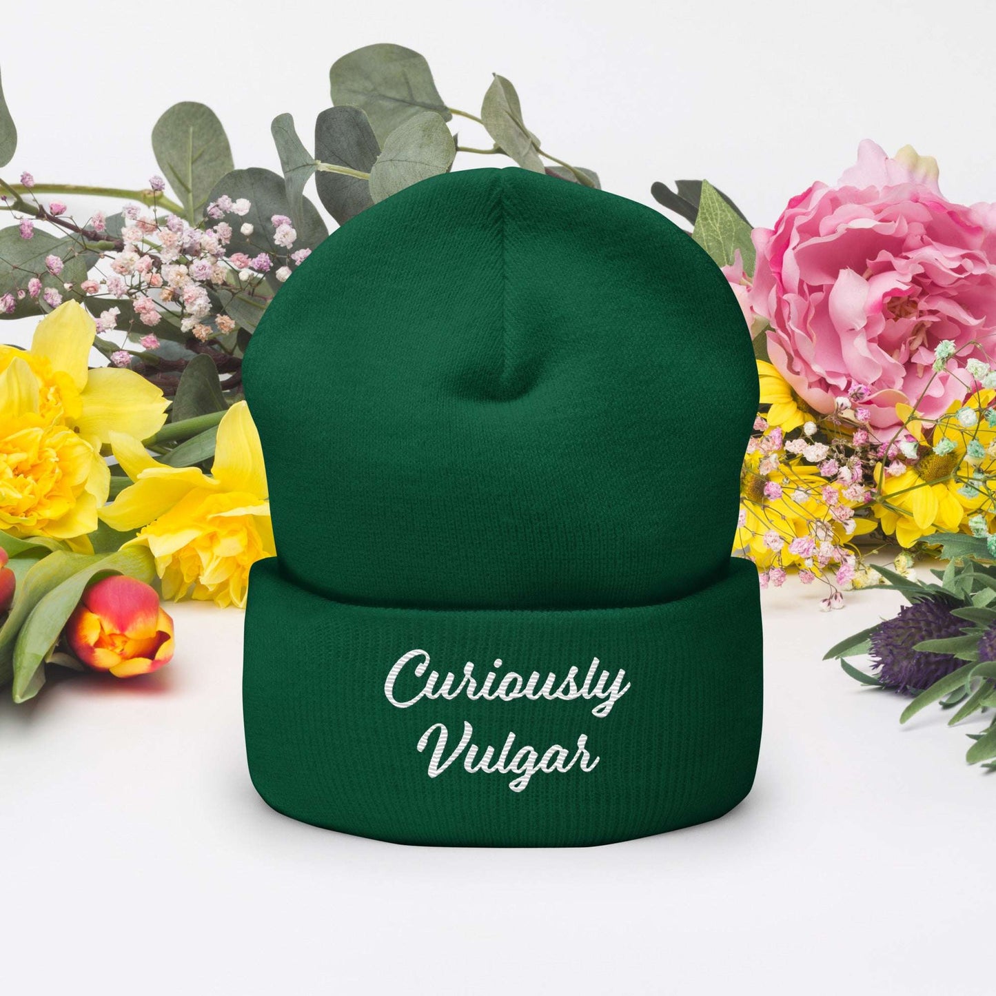 CV Beanie Curiously Vulgar