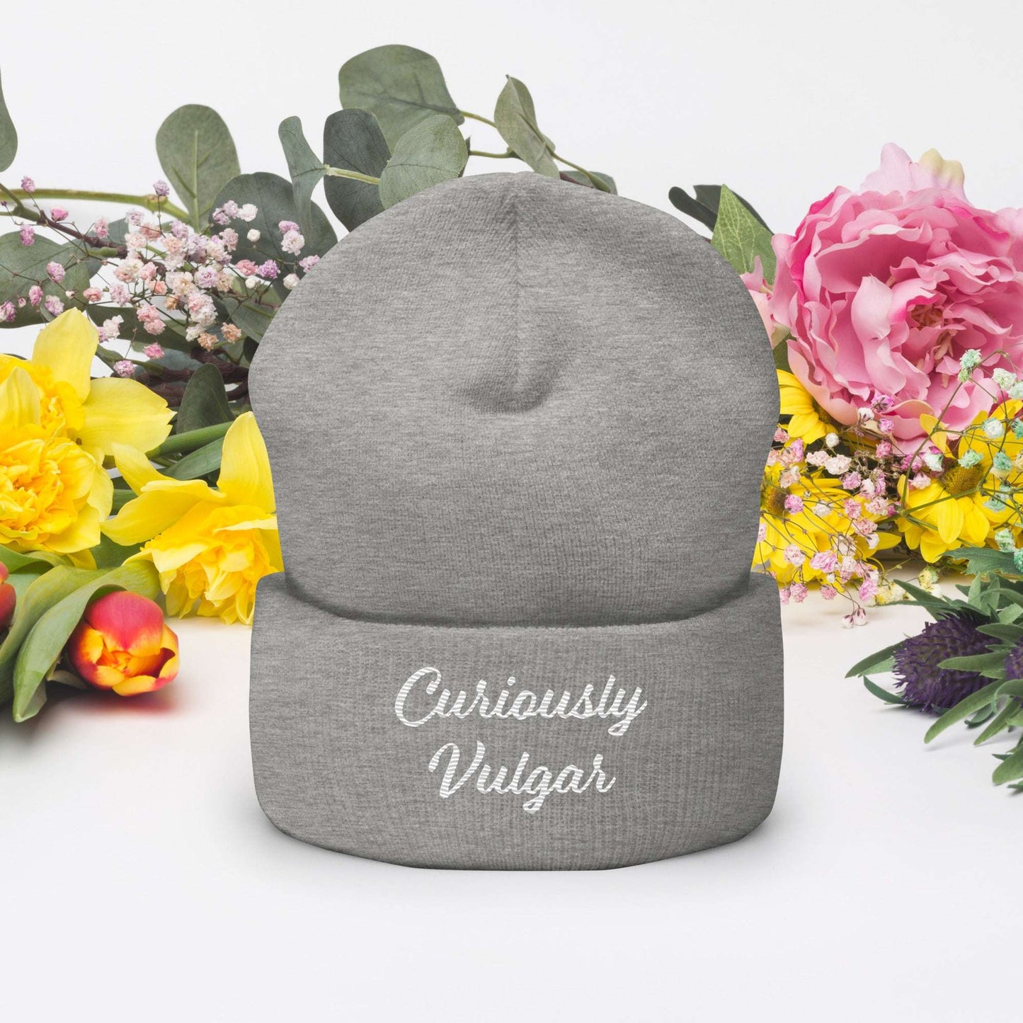 CV Beanie Curiously Vulgar
