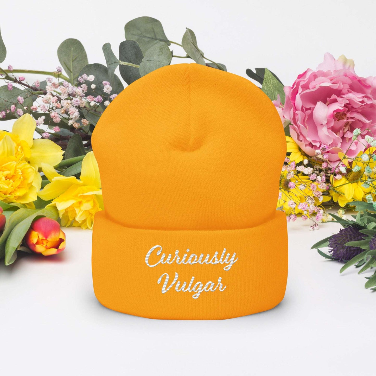 CV Beanie Curiously Vulgar