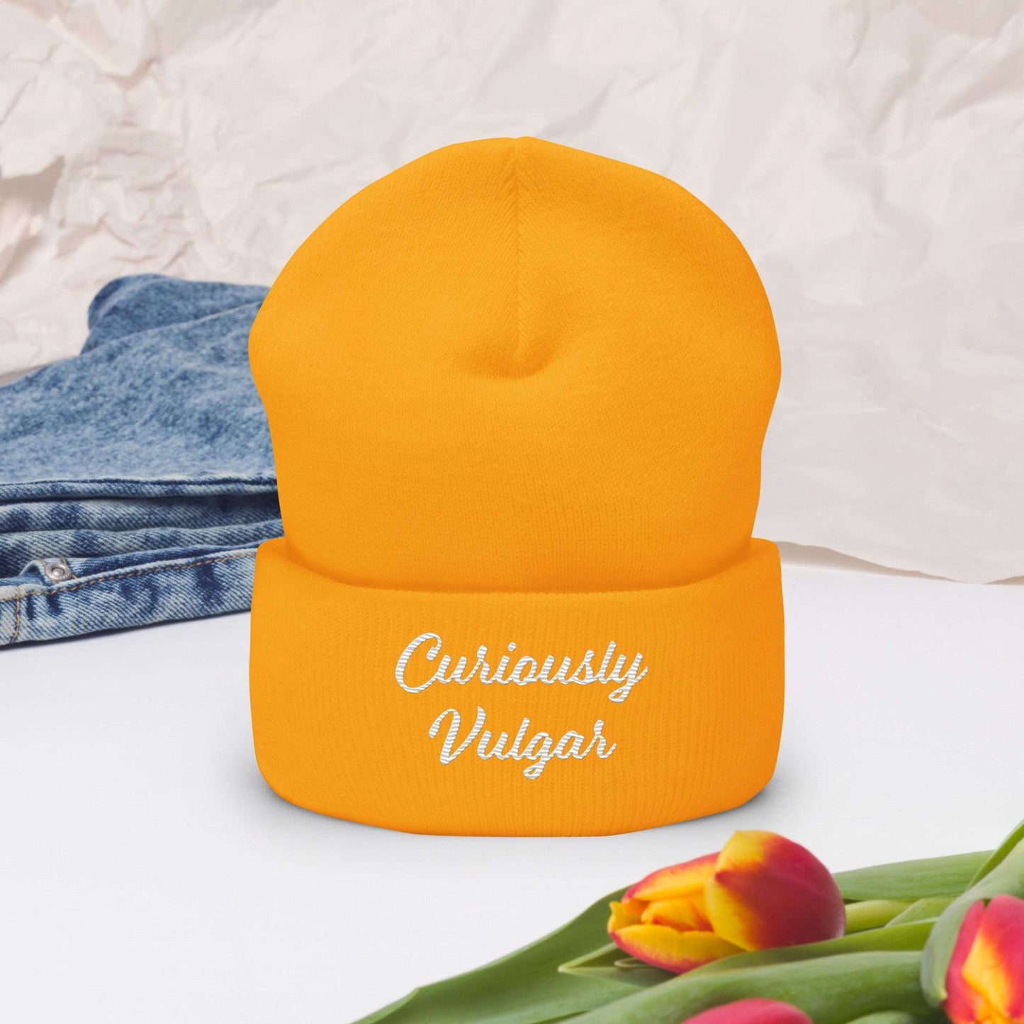 CV Beanie Curiously Vulgar