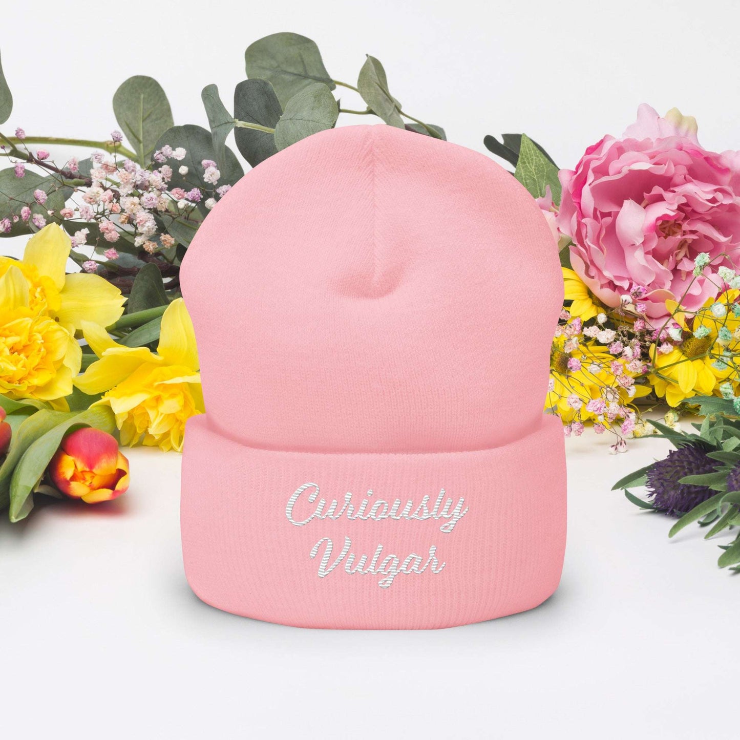 CV Beanie Curiously Vulgar