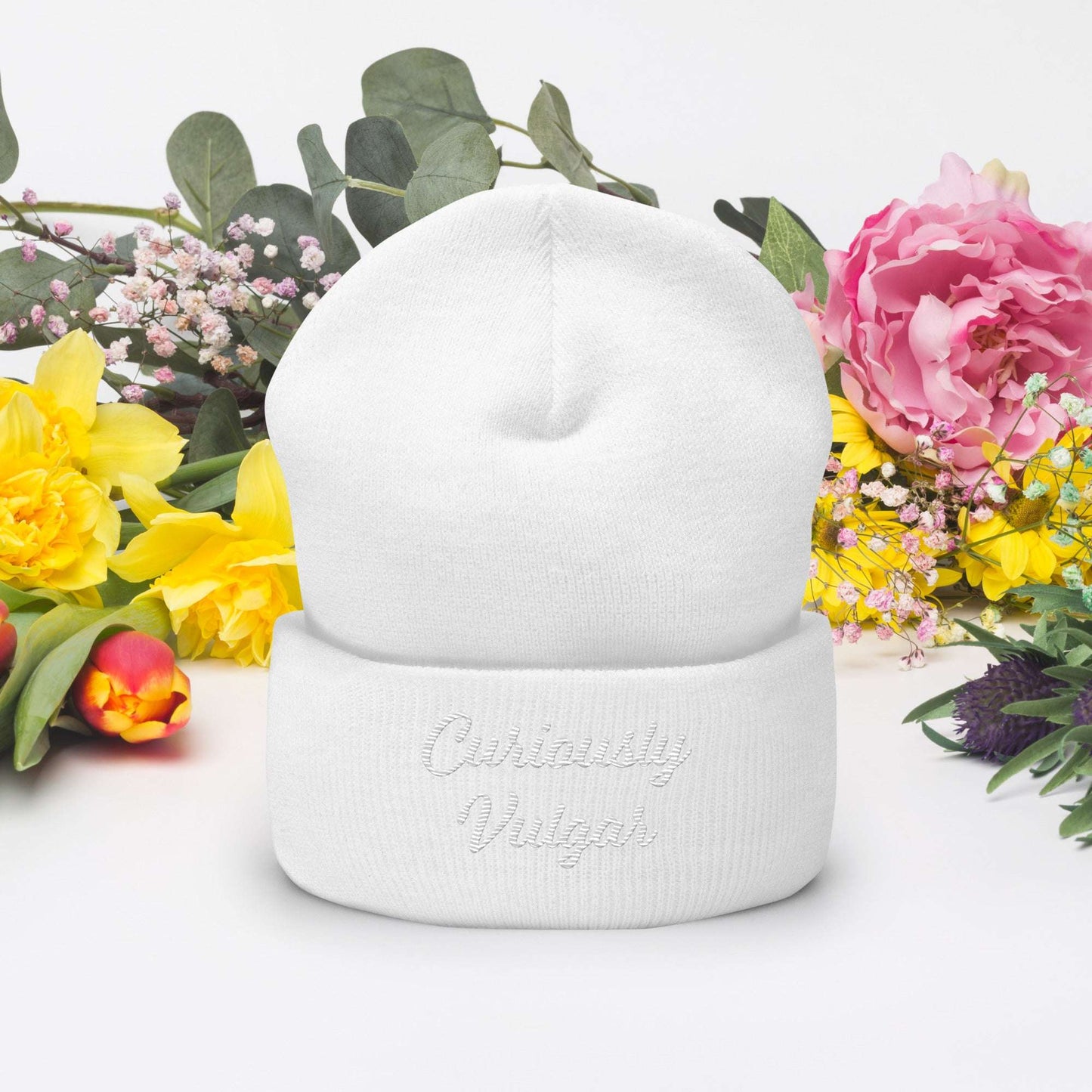 CV Beanie Curiously Vulgar