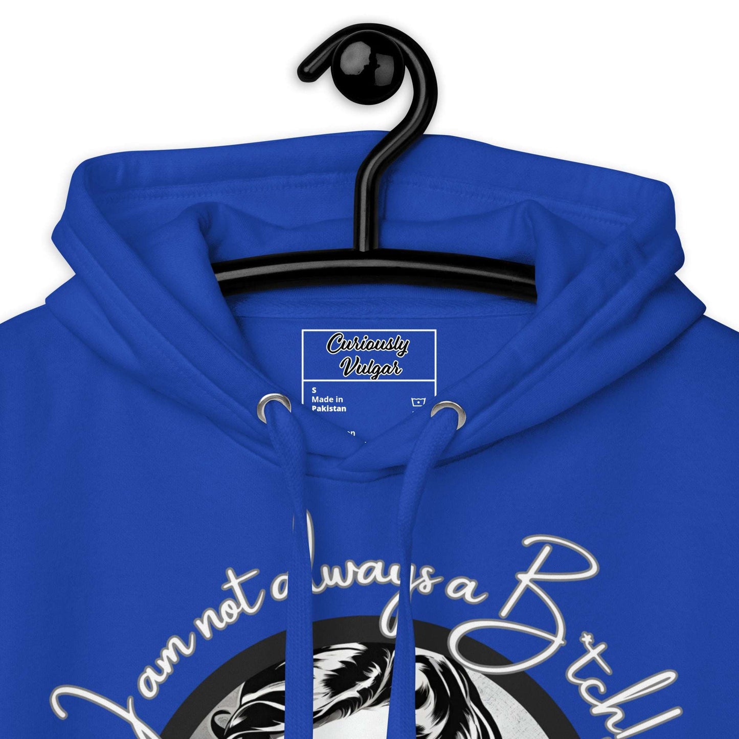 Just Kidding Hoodie Curiously Vulgar