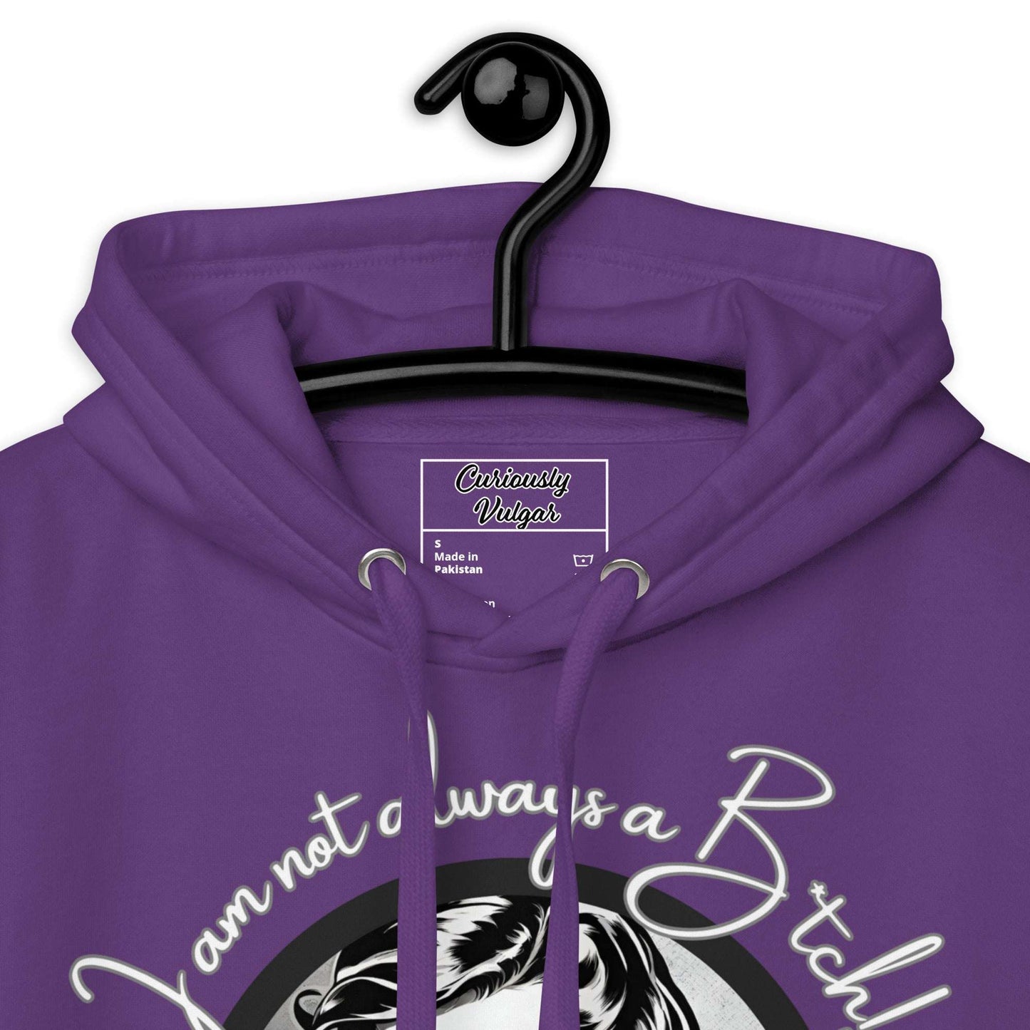 Just Kidding Hoodie Curiously Vulgar