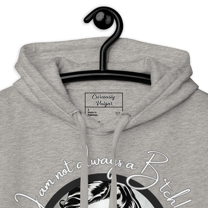 Just-Kidding-Hoodie-Curiously-Vulgar_45515596005398 - Curiously Vulgar